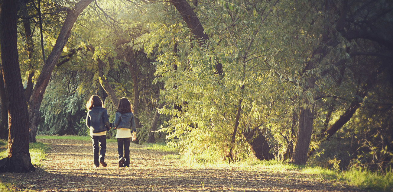 nature-activities-blog-header-image