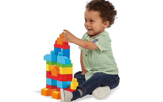 Mega-blocks-LS-Image