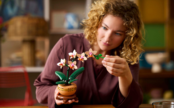 Women Building a LEGO Flower Construction Set