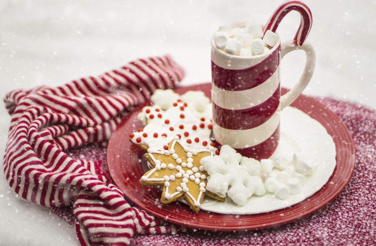 Christmas hot chocolate and cookies