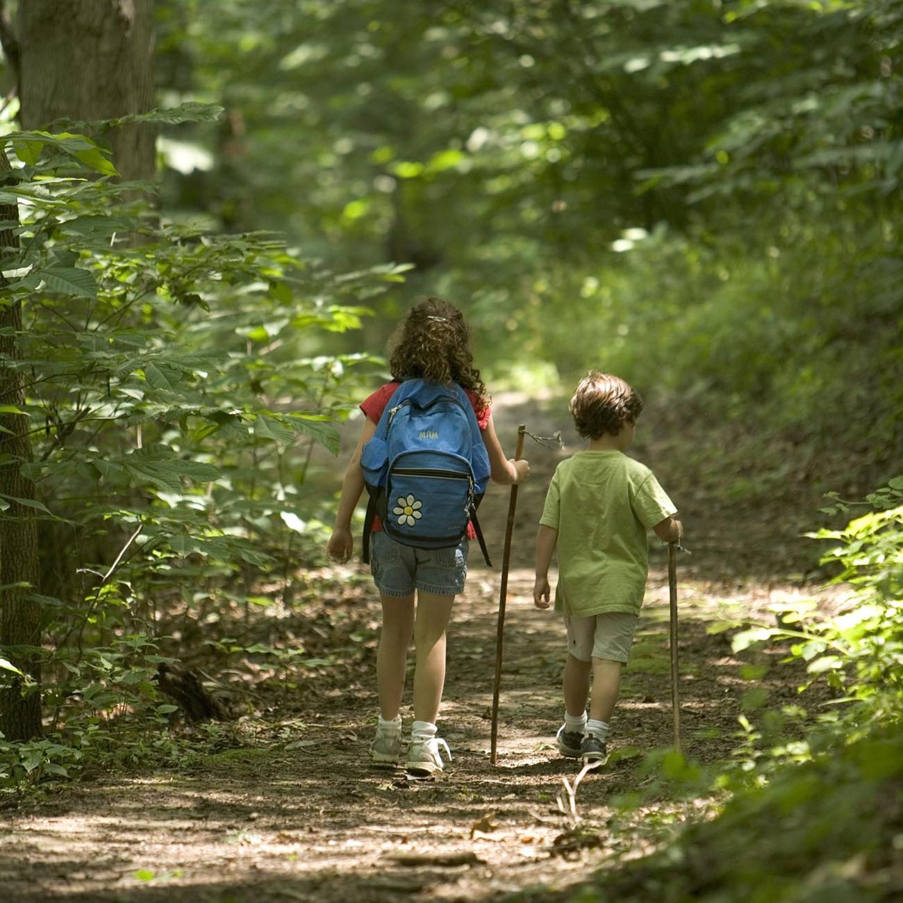 two children hiking through the woods with sticks in their hands