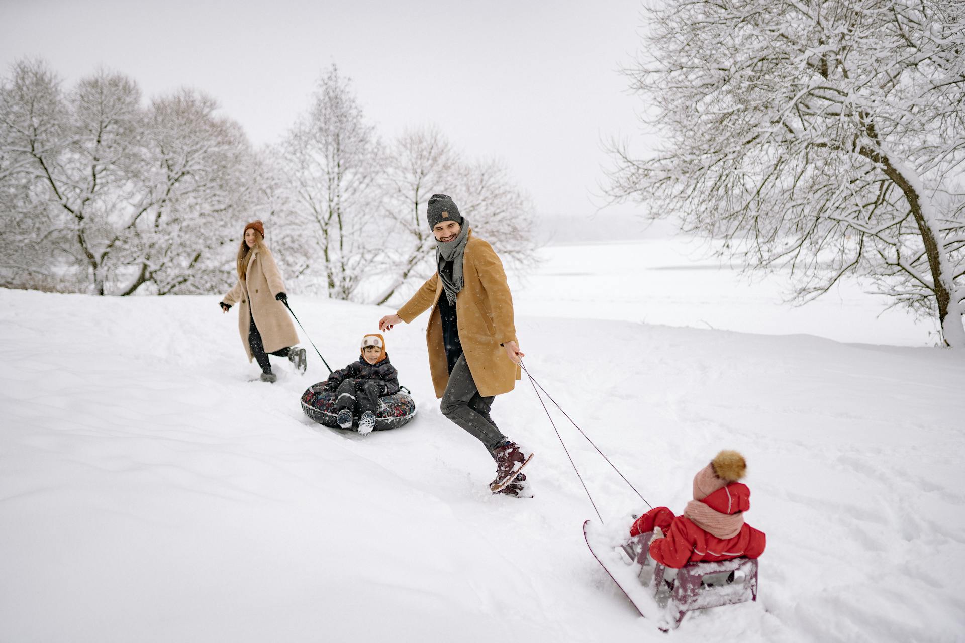 Winter sledges.