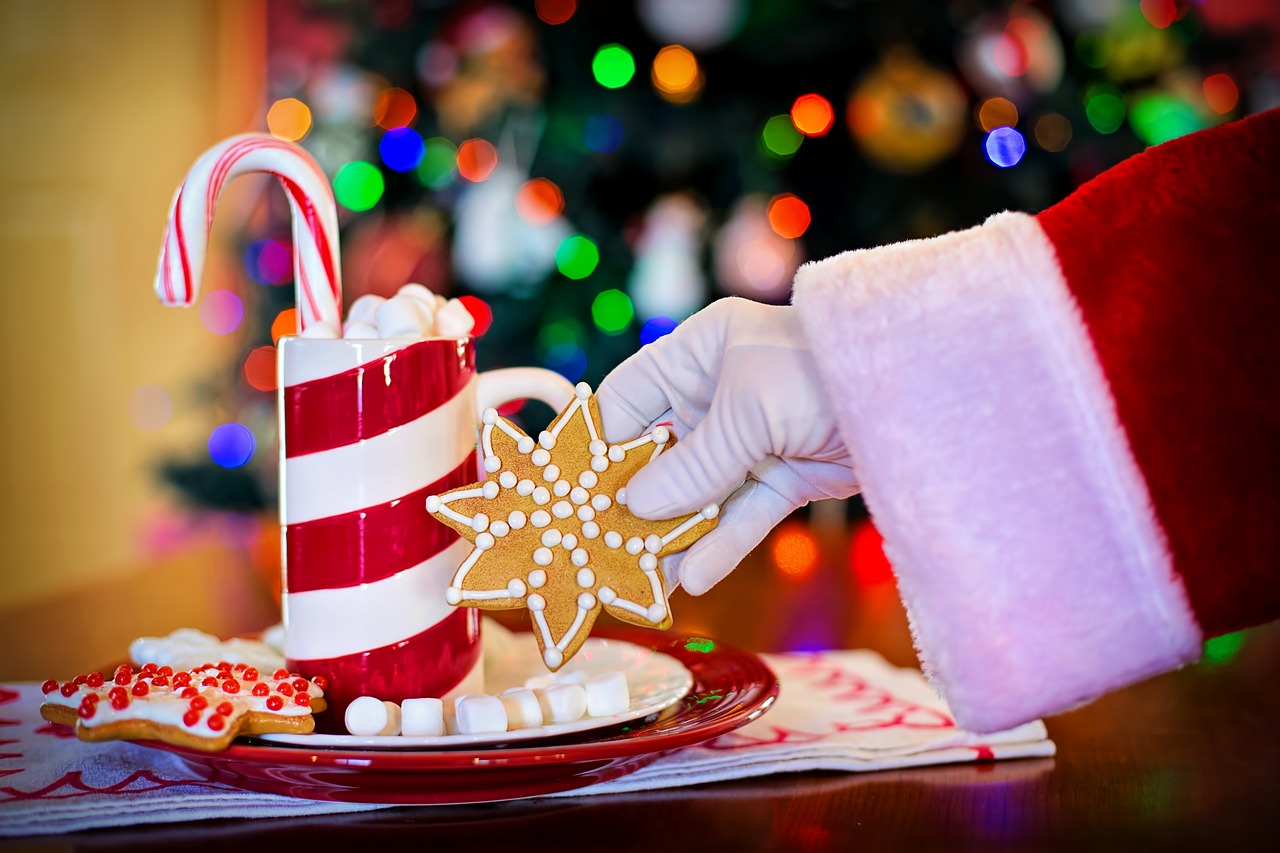 christmas cookie and drink for santa