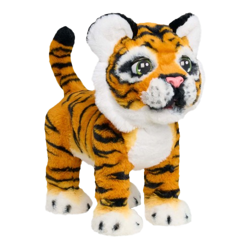 Educational & Electronic Toys