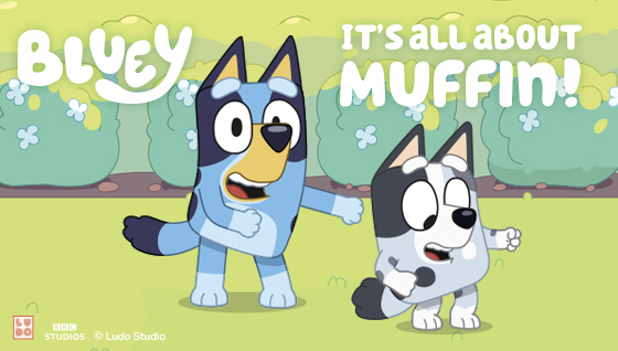 Bluey toys