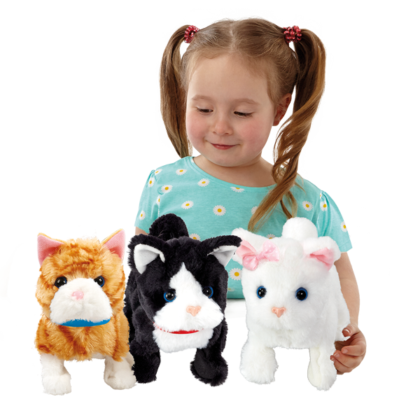 Cats