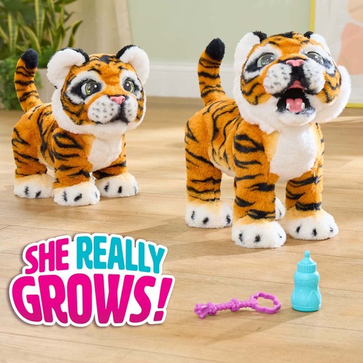 Gabby growing from cub to tiger detail view