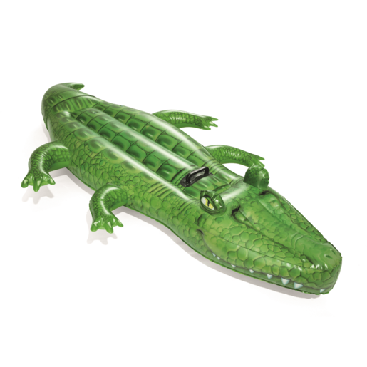 537393 (1).png