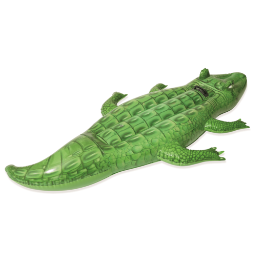 537393 (4).png