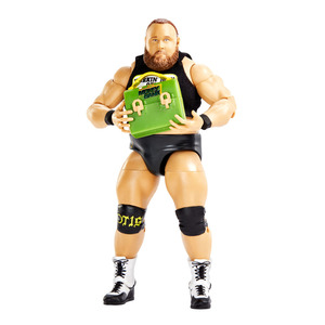 Wwe Figures Wwe Toys Wrestling Toys The Entertainer