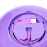 557989-4.jpg