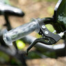 558559-5.jpg