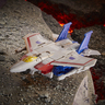 560665_STARS-5.jpg
