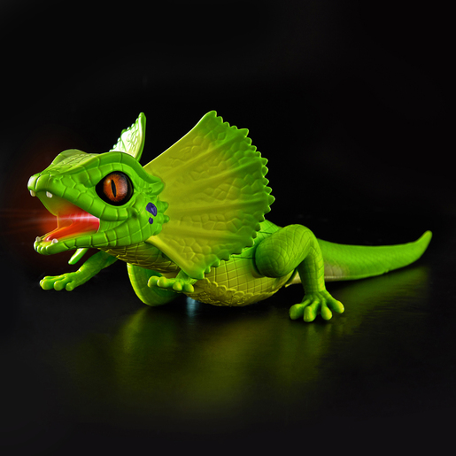 563521_green1-4.jpg