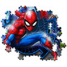 570938_SPID-2.jpg