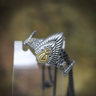 581573-4.jpg