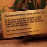 581595-6.jpg