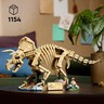 582618-2.jpg