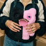 583155-4.jpg