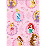 Disney Princess 2 Sheet 2 Tag Pack