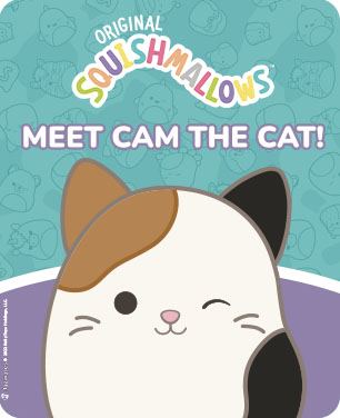 Meet Cam The Cat Meet Cam The Cat