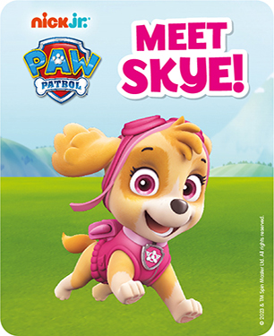Meet Skye From Paw Patrol Meet Skye From Paw Patrol
