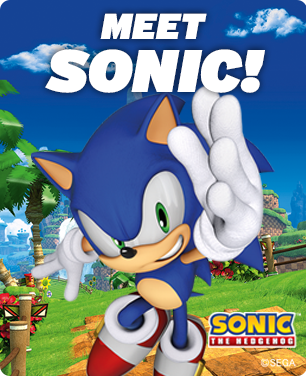 Meet Sonic The Hedgehog