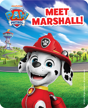 Meet Marshall From Paw Patrol Meet Marshall From Paw Patrol