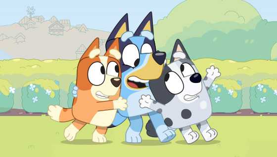 What and Who is Bluey?