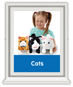 Pitter Patter Pets - Cats Pitter Patter Pets - Cats