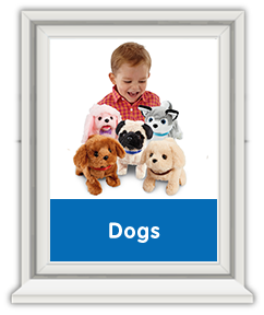 Pitter Patter Pets - Dogs Pitter Patter Pets - Dogs