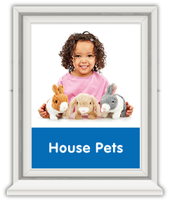 Pitter Patter Pets - House Pets Pitter Patter Pets - House Pets