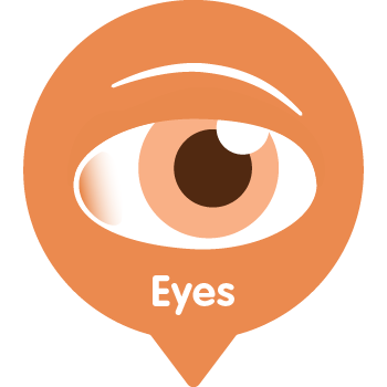 Eyes Eyes