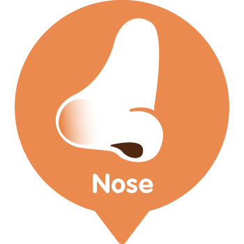 Nose Nose
